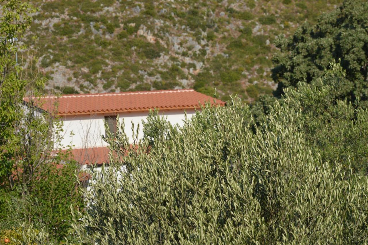 Tolis * Himare
