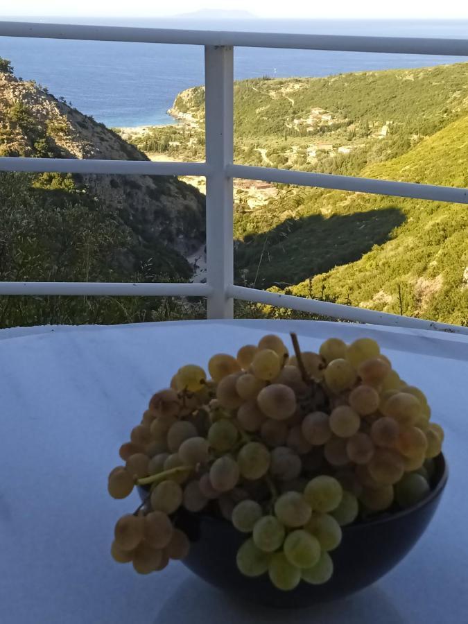 Tolis Apartament *